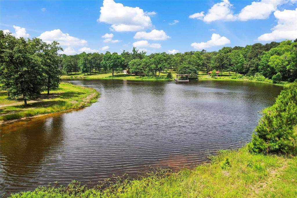 Pond view from the opposite side.