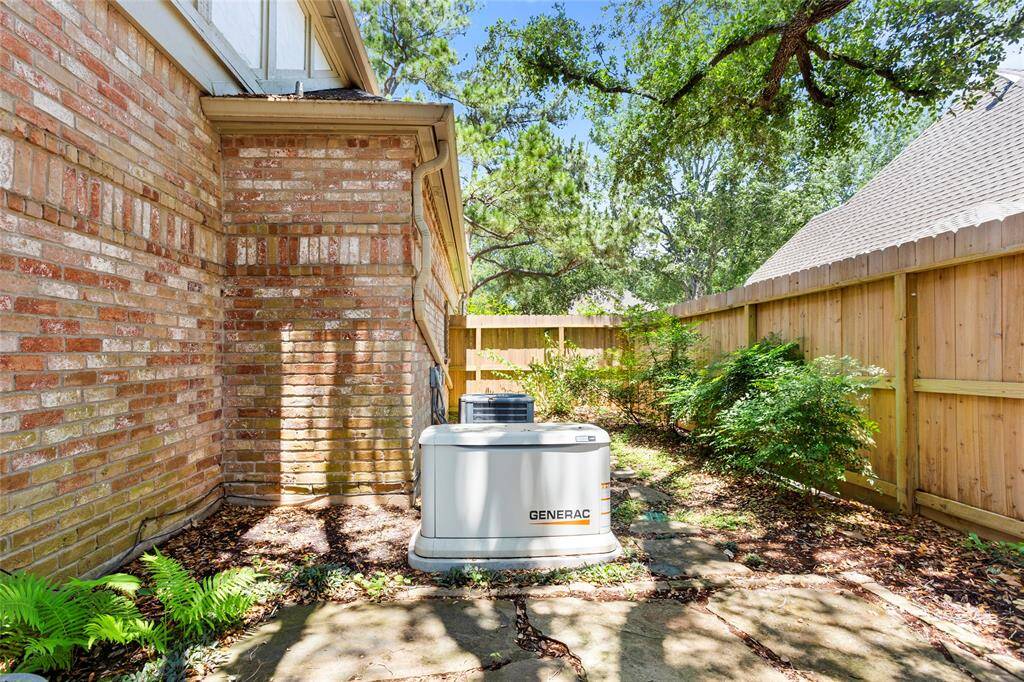 Another view of the backyard...