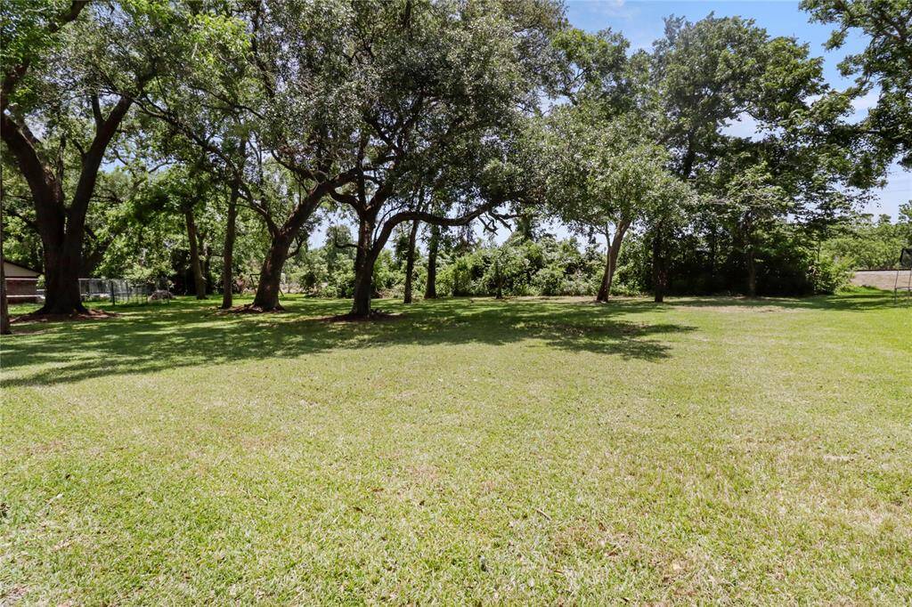 LOOK AT THAT HUGE TREE SHADED BACKYARD