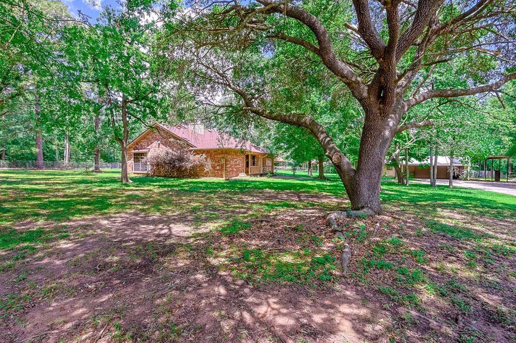 Beautiful home with stunning live oak trees