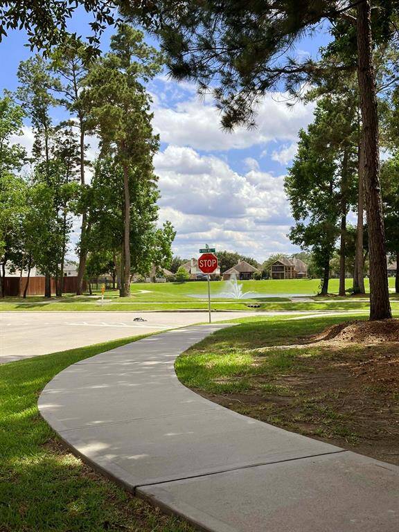 Walking Trail by the pool