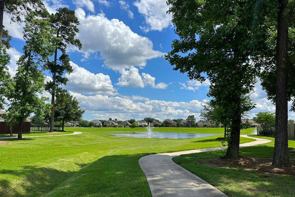 View looking at the Lake Front area