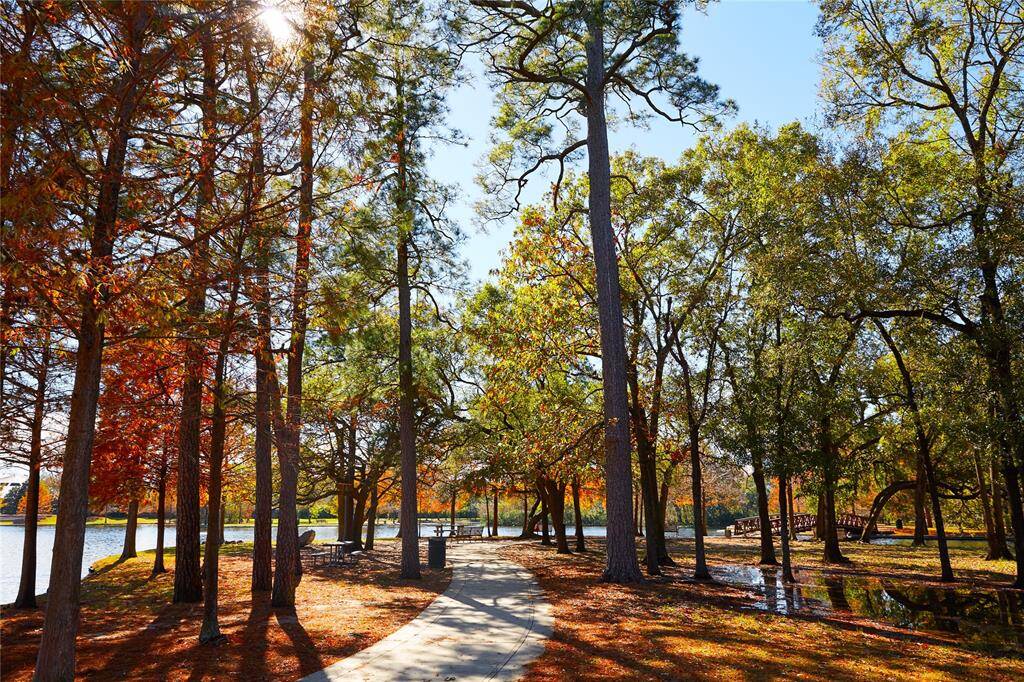 Herman Park!