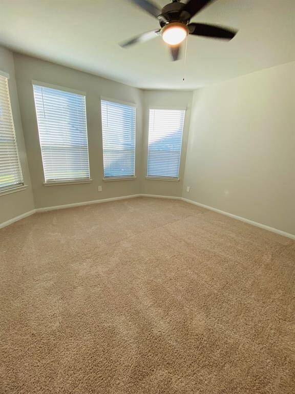 This large primary bedroom has plenty or natural light and an en-suite bathroom with a shower. Large walk-in closet will captivate you with all the space for your clothes and shoes.