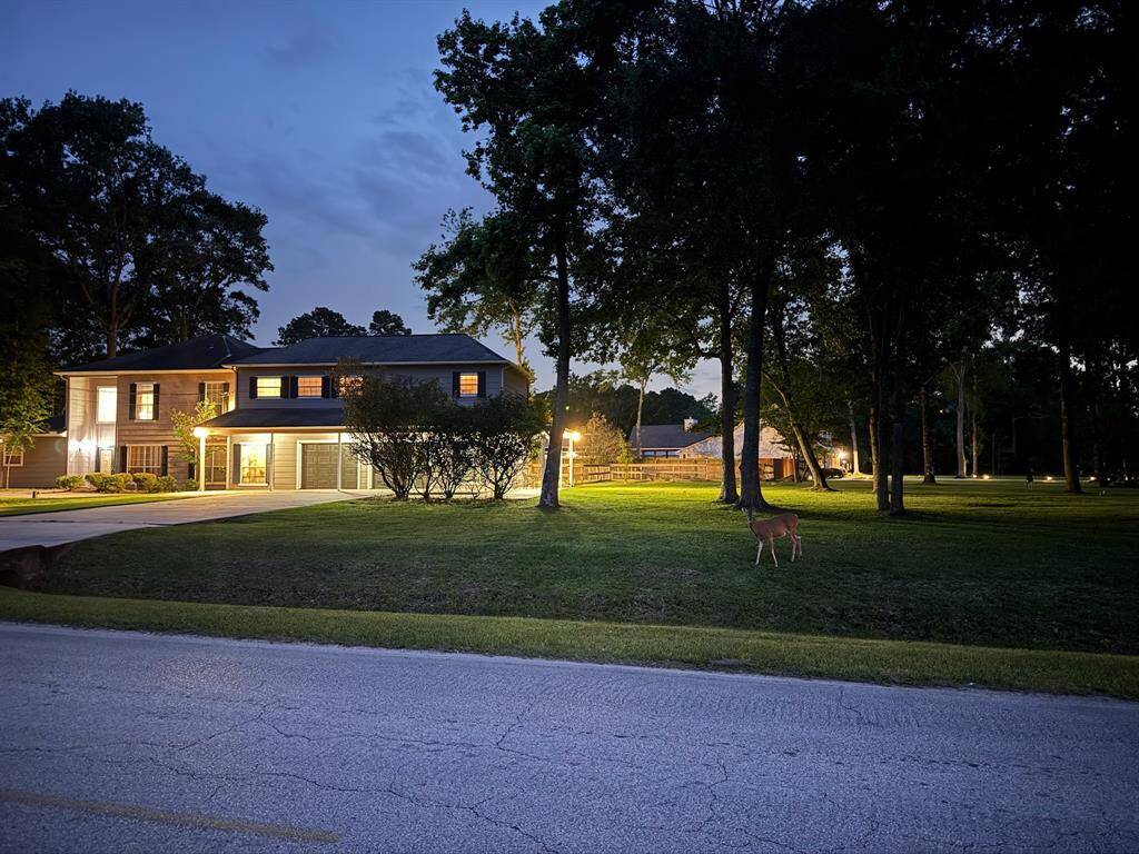 Property Image 18
