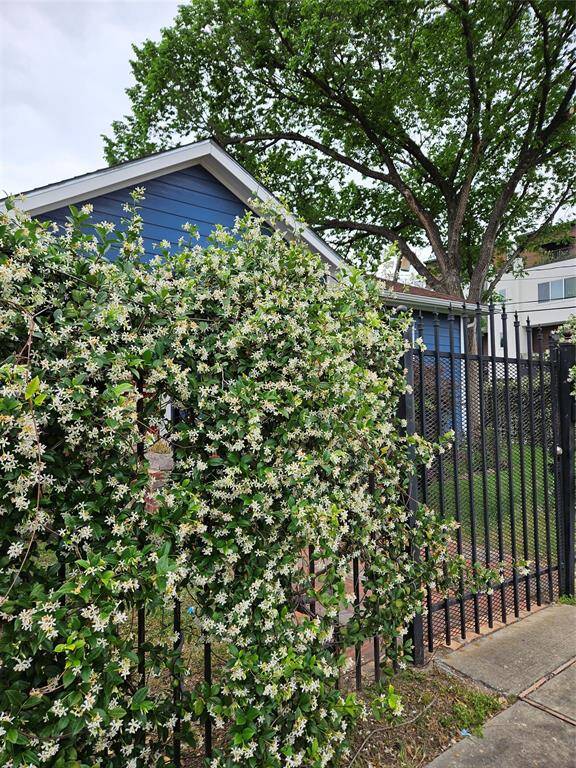 Behind a lush wall of fragrant star jasmine and a secure wrought iron gate, this beautifully updated charming blue HardiePlank bungalow-cottage home offers a rare blend of character, privacy, and greenery right in the heart of the city.