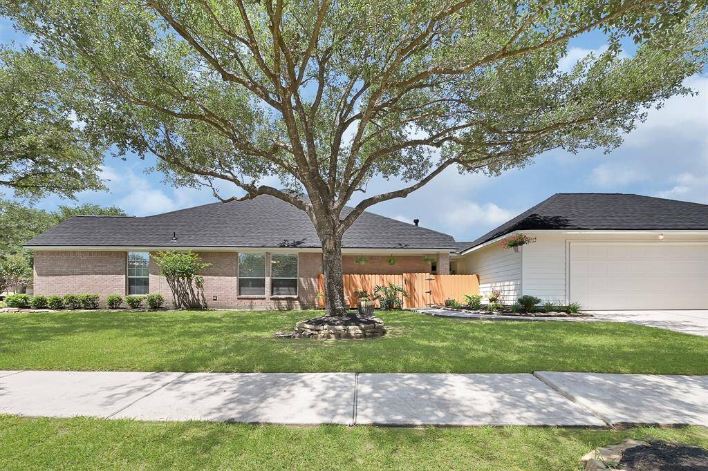What an impressive lot! The canopy from this oak offers lovely shade on this side of the yard.