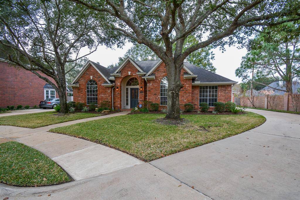 Driveway is lined with a row of Crepe Myrtles that will bloom with pink flowers during summer