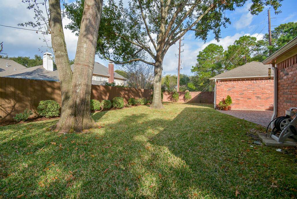 Plenty of space in this backyard to run around