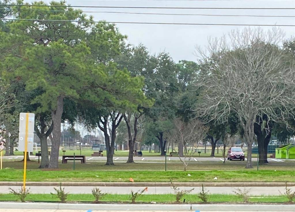 Massive Park Within Walking Distance