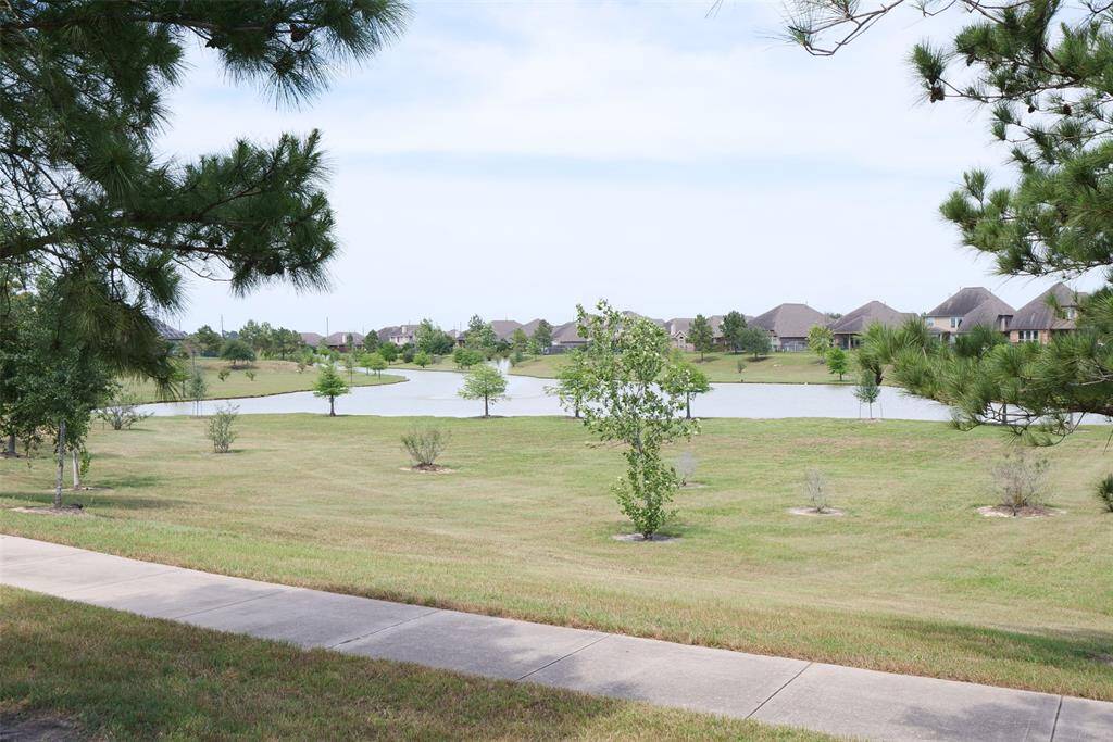 Great view from the back yard.