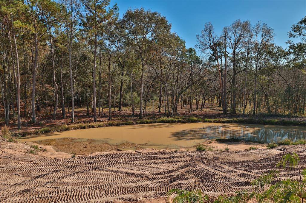 The property has been partially cleared around the pond
