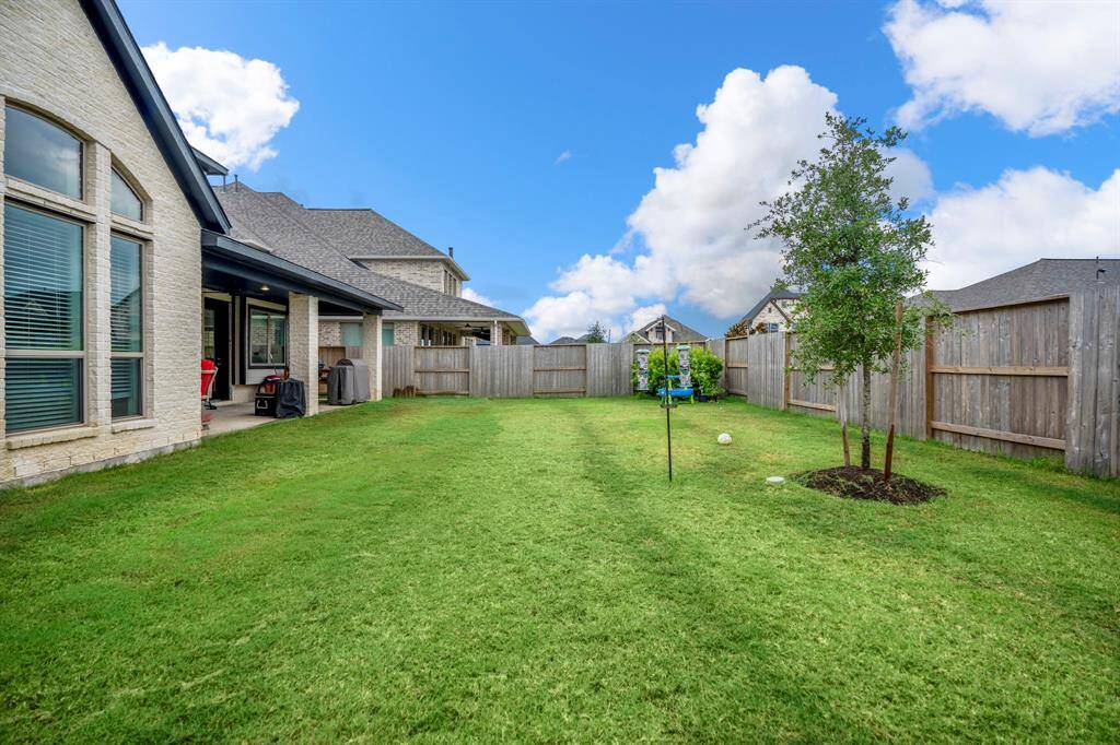 Plenty of space to run and play!