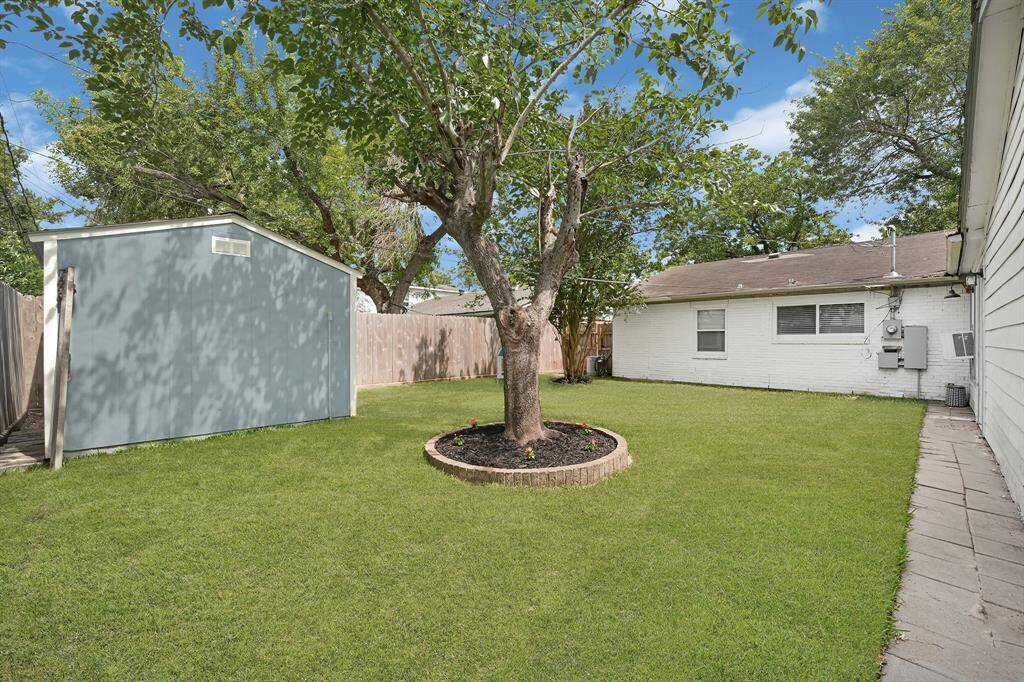 Backyard