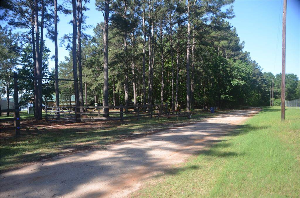 A view of Pine Island Cove Rd from front of property