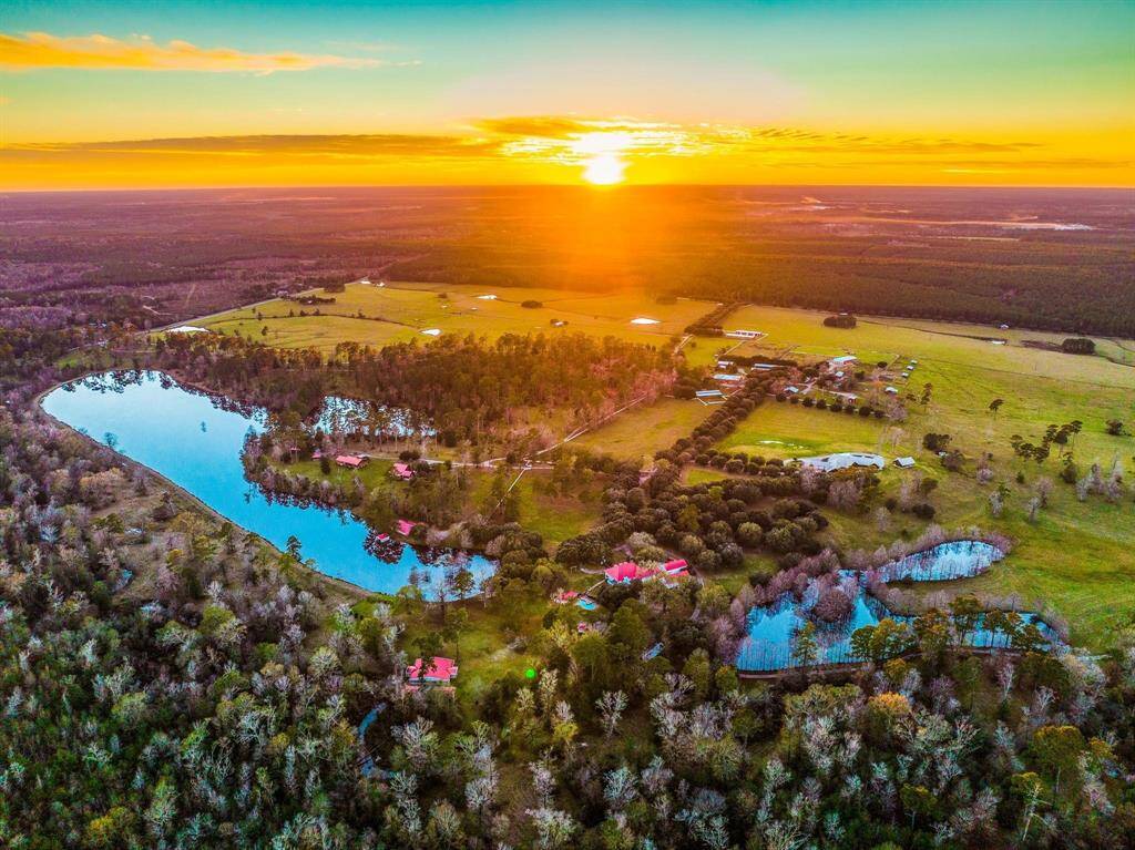 Life in the Ranch