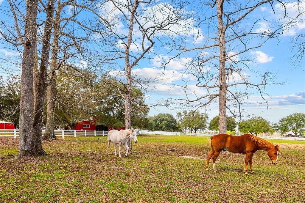 Bring your horses!!!