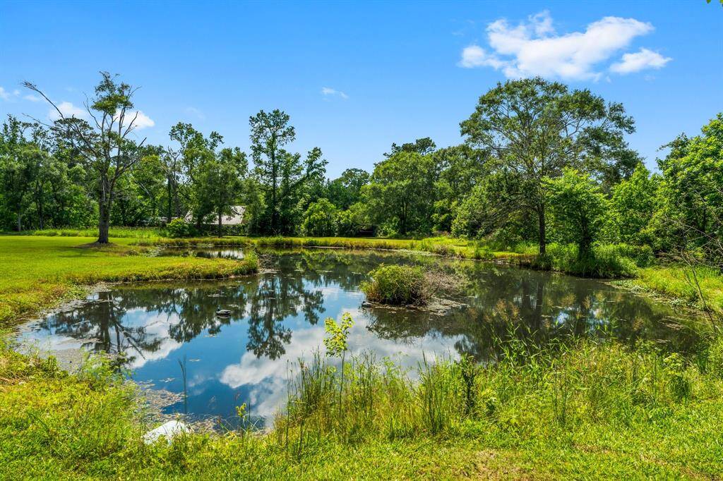 Live out your homesteading dreams on this beautiful property with expansive views and a serene pond! Never flooded!