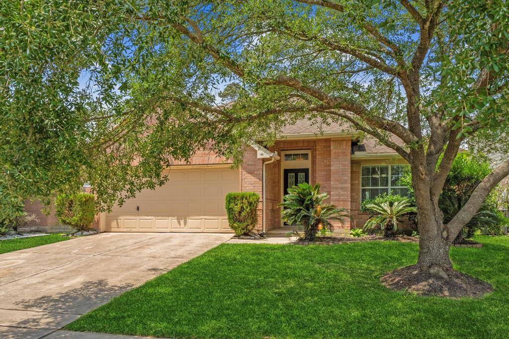Mature shade tree out front.