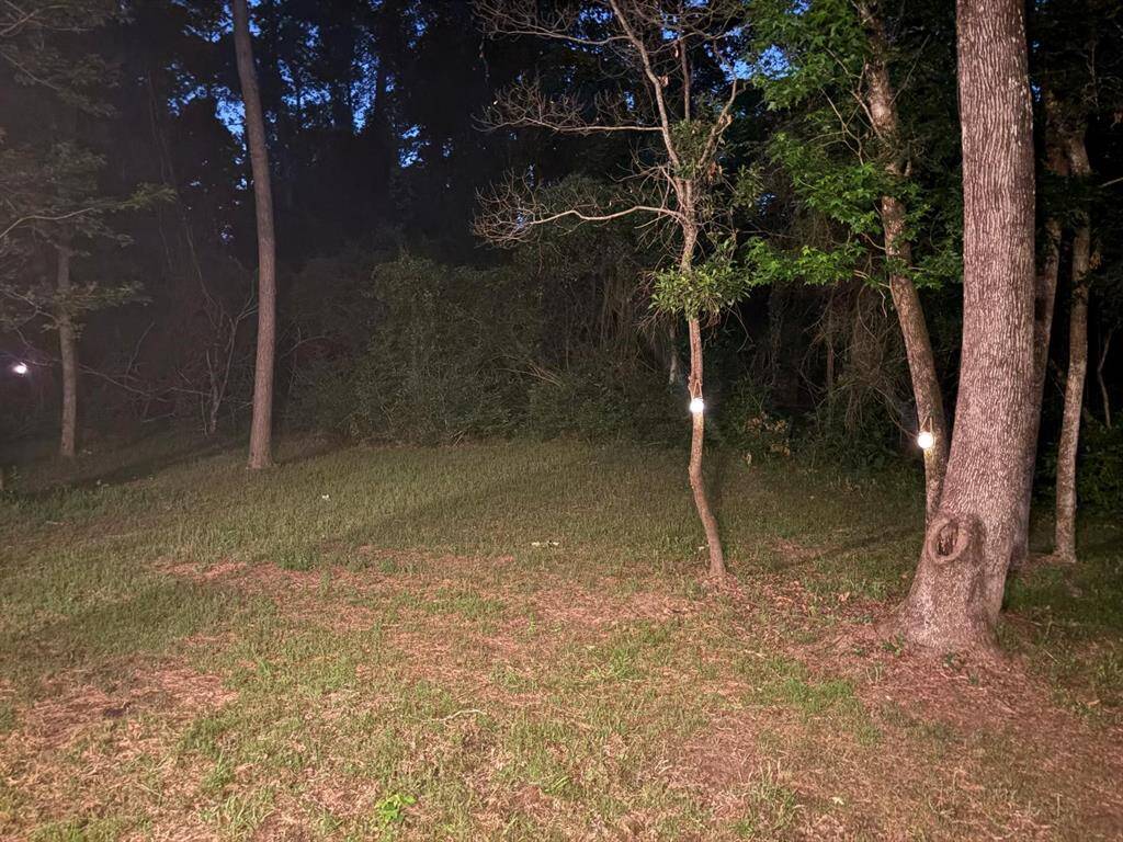 Tranquil wooded backyard illuminated by soft tree lights, offering a peaceful retreat for evening relaxation.