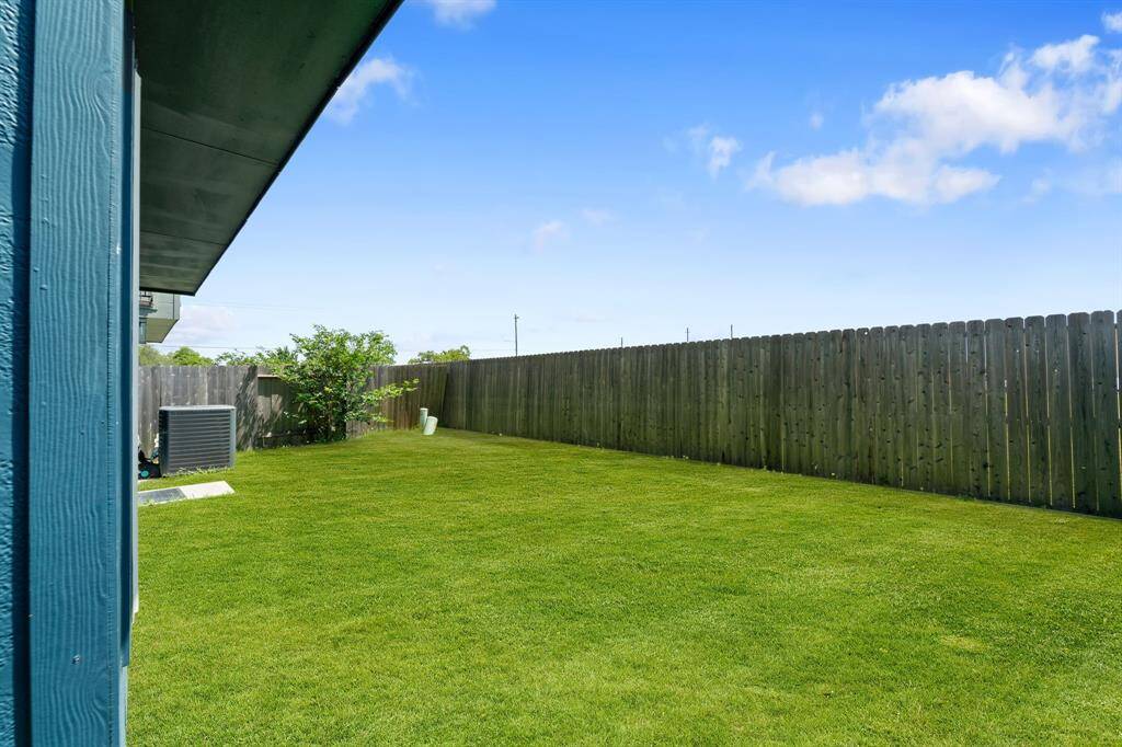 Charming backyard