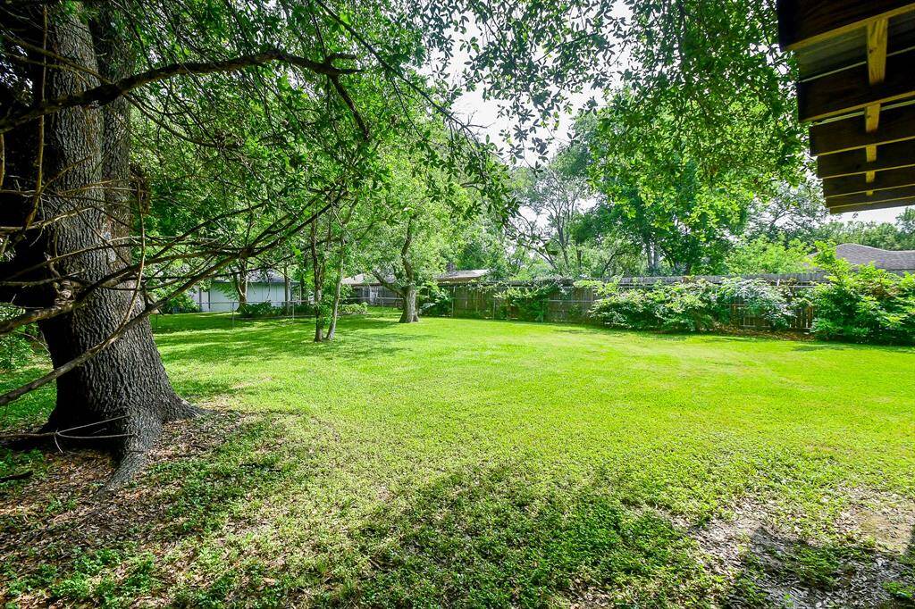 Large fully fenced backyard