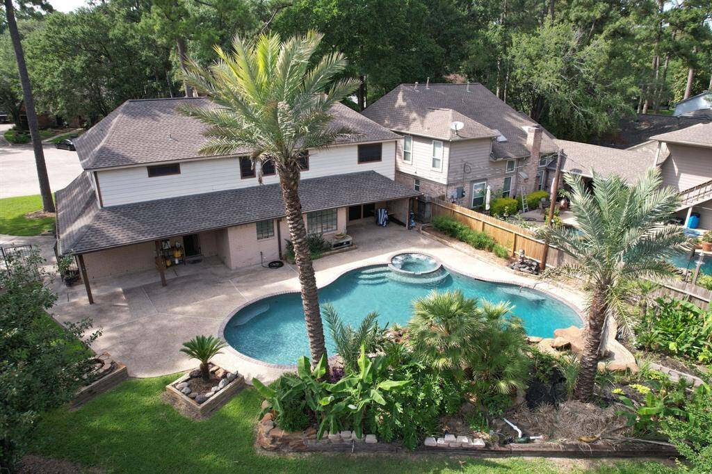 Backyard oasis.