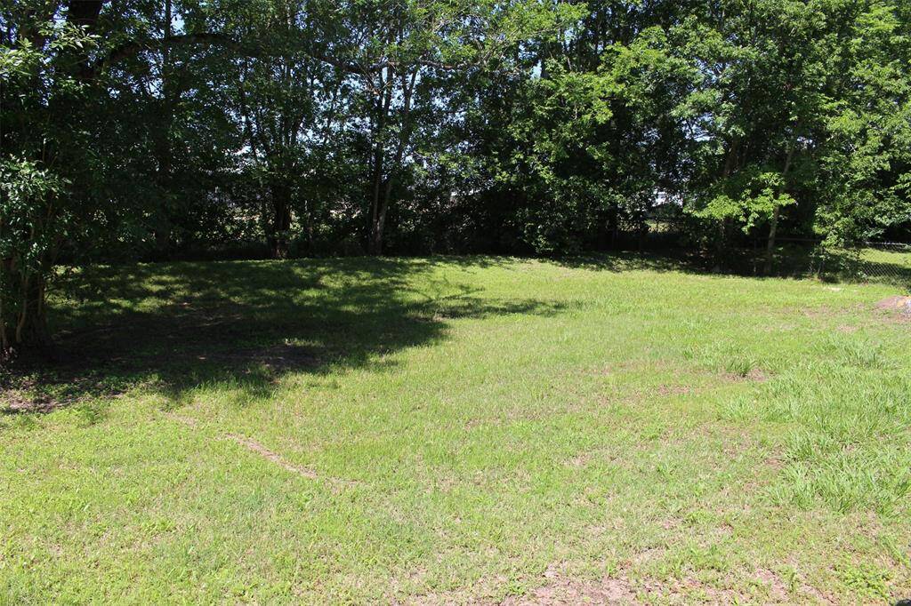 Huge Back Yard