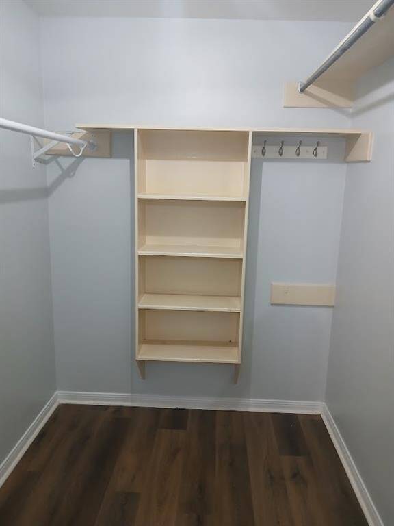 Master Bathroom closet