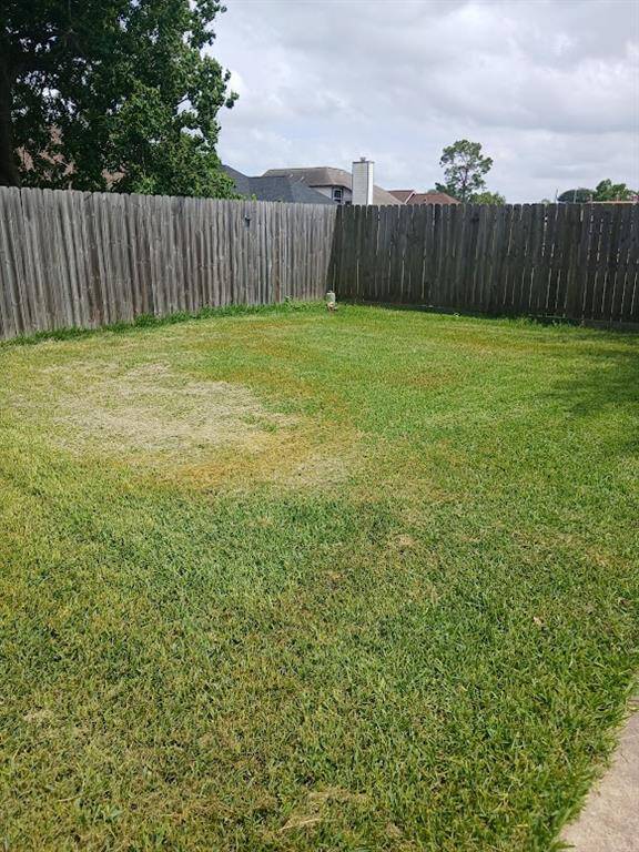 Backyard view 5