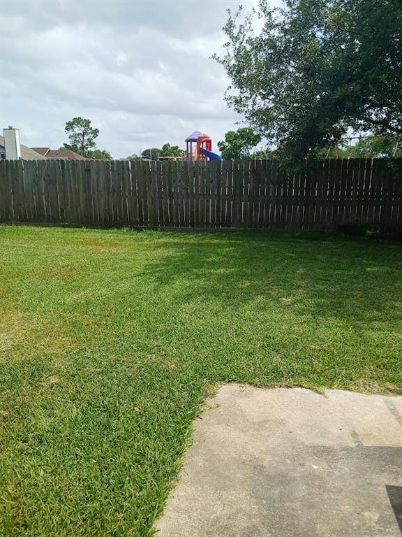 Backyard 7
