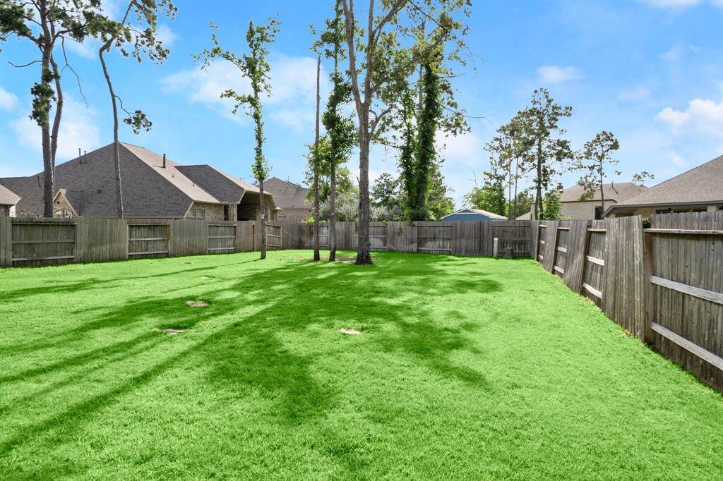 Lush, expansive backyard with mature trees and privacy fence—ideal for a pool, outdoor activities, and relaxation.