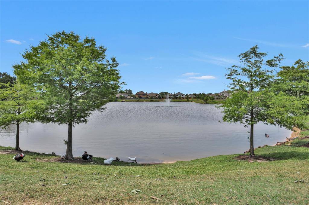 Nearby, a picturesque lake with a gentle fountain creates a serene escape within the neighborhood