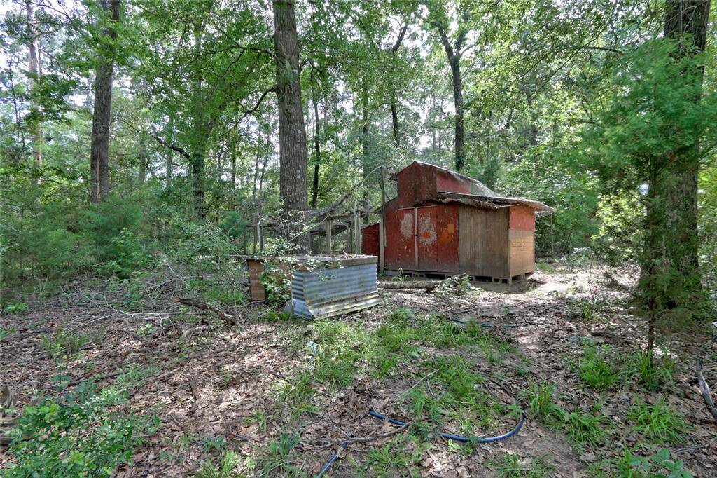 Chicken Coop