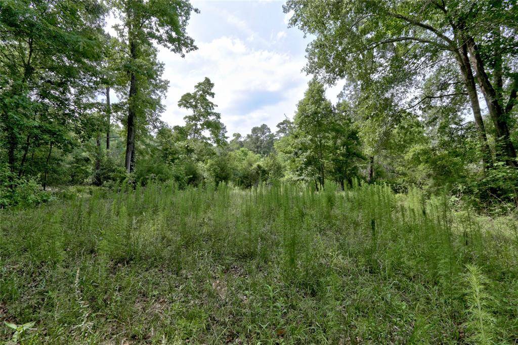 View from back of land