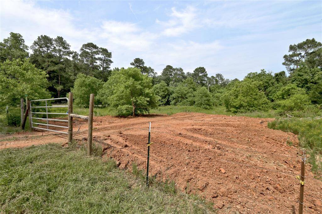 view of pasture area