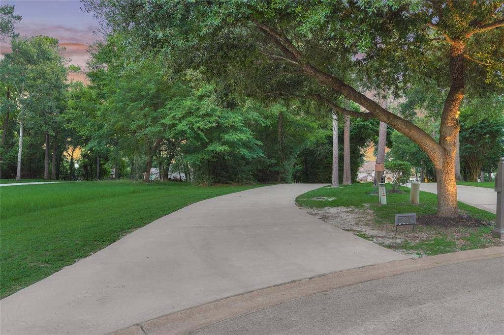 The driveway to the home is surrounded by majestic trees offering privacy and enchantment.