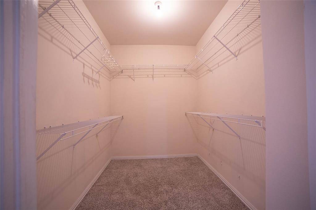 Spacious walk-in closet with ample shelving and carpeted flooring, perfect for organized storage.
