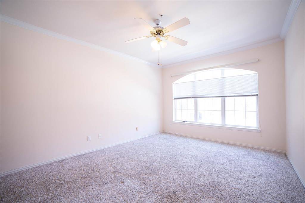 Bright, spacious room with neutral carpeting, a ceiling fan, and a large window allowing ample natural light. Perfect for a bedroom or office.