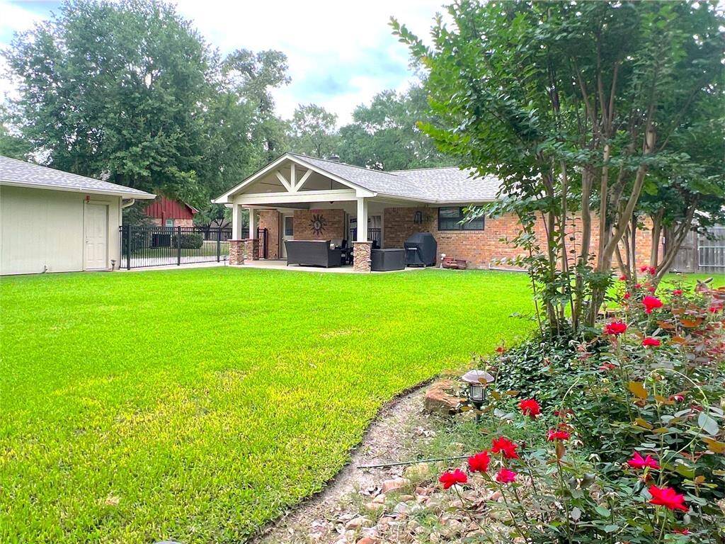 Back yard