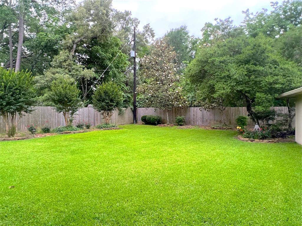 Back yard