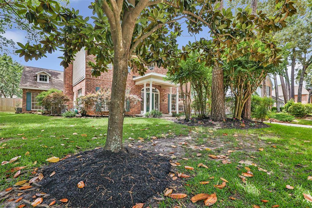 Property Image 49