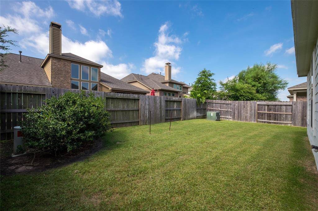 Back yard