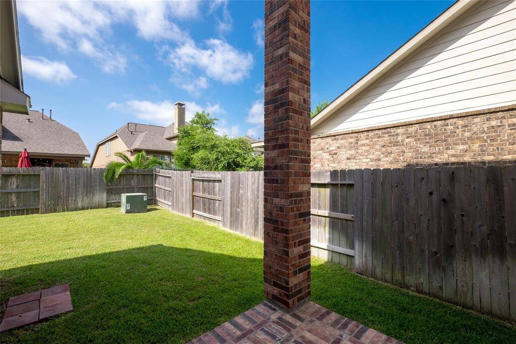 Back yard