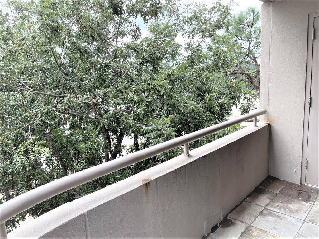 Balcony in the treetops