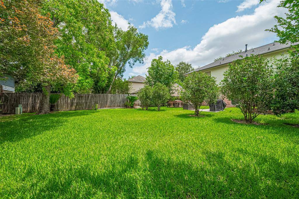 Spacious lush green backyard