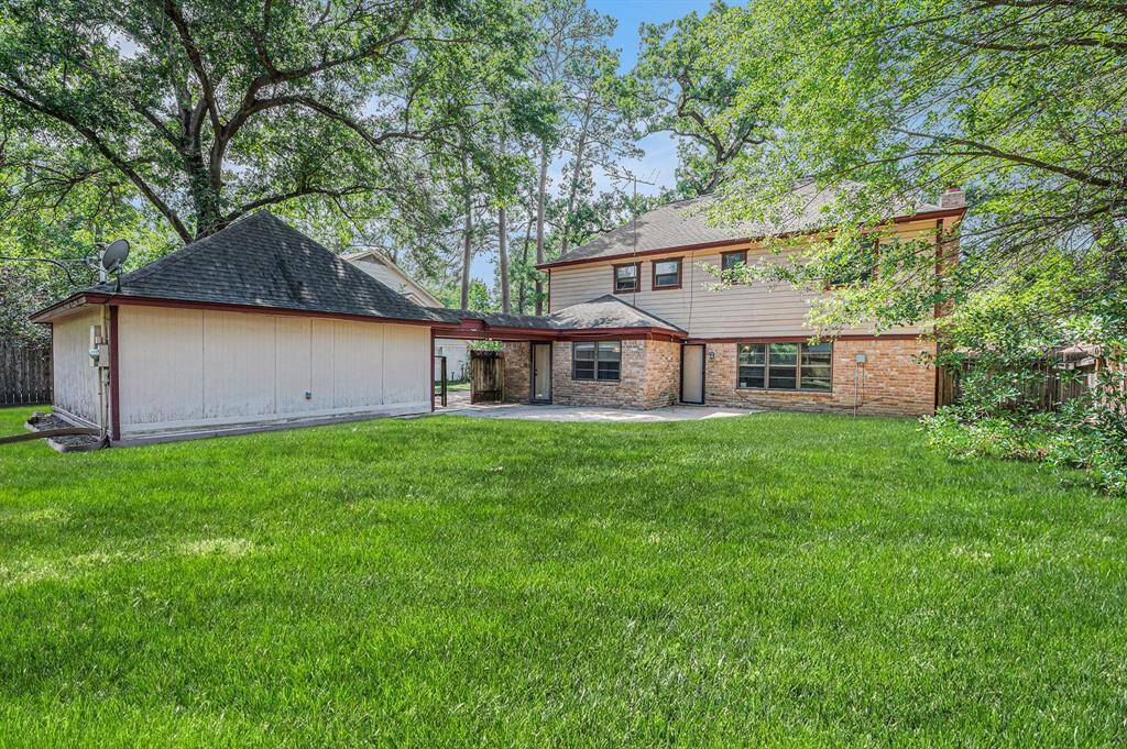 Full view of the backyard.