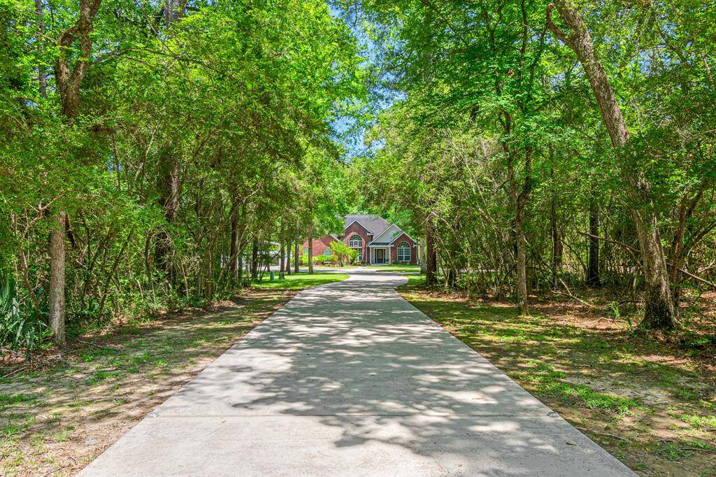 Make a grand entrance! The long, private driveway, beautifully canopied by mature trees.