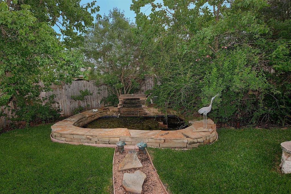 Koi pond