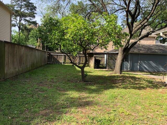 Picture of back yard.